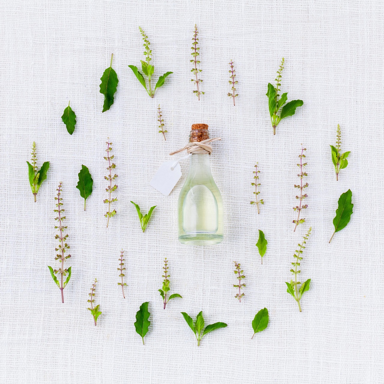 entdecken sie die faszinierende welt der gewürze: informationen, tipps zur verwendung und leckere rezeptideen, um ihre gerichte aromatisch und vielfältig zu gestalten.