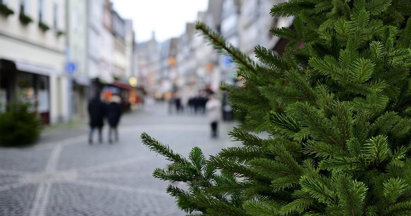 Geheimtipp München: 15 Orte, die Einheimische lieben