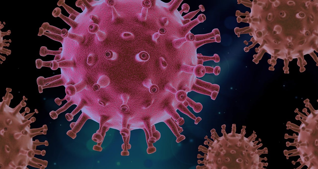 Warum entwickeln Sportler häufiger Autoimmunerkrankungen?