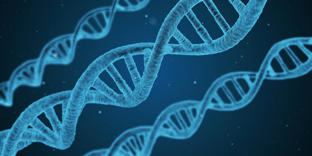 erfahren sie alles über autoimmunerkrankungen: ursachen, symptome und behandlungsmöglichkeiten. informieren sie sich, wie sie ihre gesundheit stärken und mit diesen komplexen krankheiten umgehen können.