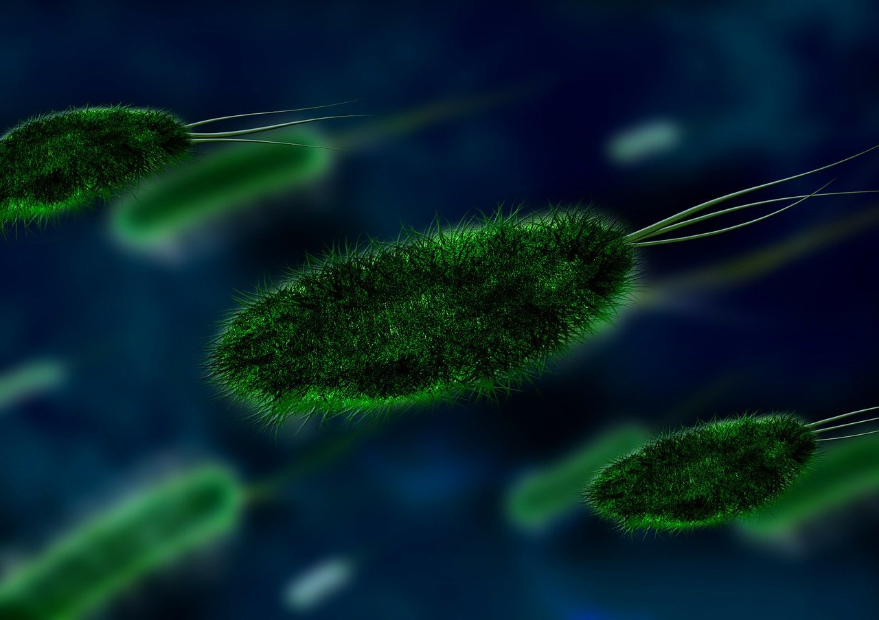 erfahren sie mehr über autoimmune erkrankungen, ihre symptome, ursachen und behandlungsmöglichkeiten. informieren sie sich über prävention und das leben mit chronischen autoimmunerkrankungen.