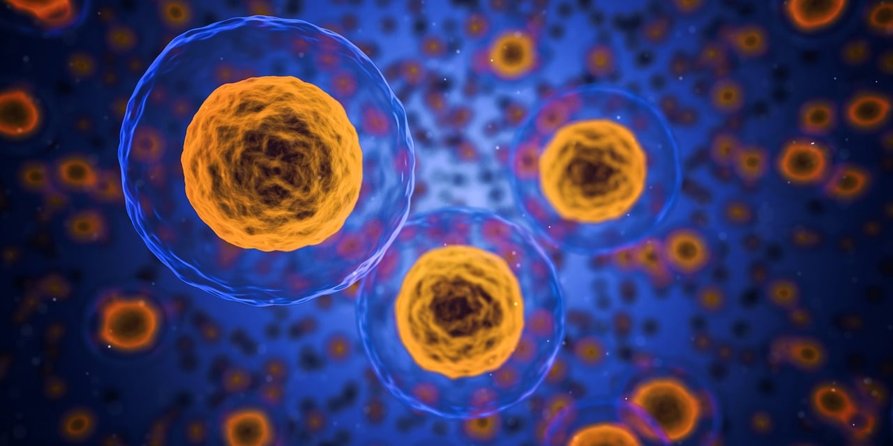erfahren sie alles über autoimmunerkrankungen, ihre ursachen, symptome und behandlungsmöglichkeiten. entdecken sie präventive maßnahmen und aktuelle forschungsergebnisse, um ihr immunsystem besser zu verstehen und zu stärken.